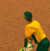 Cricket Batter Challenge