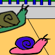 Snail Racing