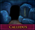 Callidus Adventure