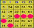 Bingo Madness