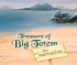 Treasure Of Big Totem 18