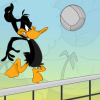 Tricky Duck Volleyball